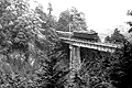 ̋