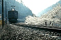 ED16
