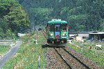 znC295-315