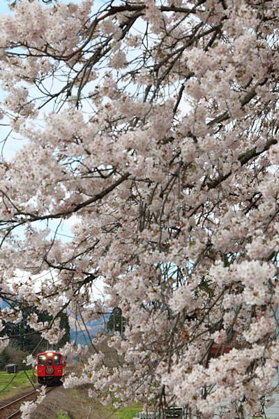 �������w�̍�