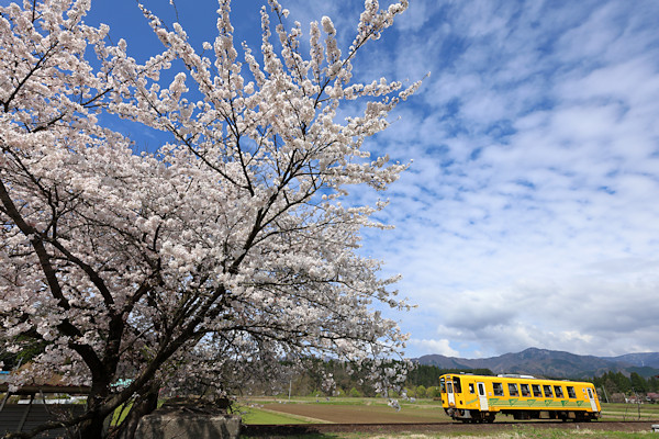 �������w�̍�