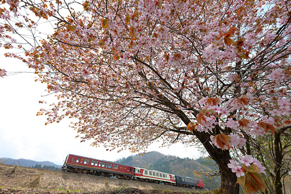 �H�㒷�˘C�`���t�^�I�I���}�U�N���H