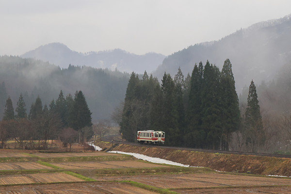 ���m�}�^�M�`�����m�^����ԗ��