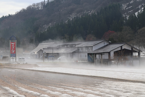 �œ�����}�^�M�̓�