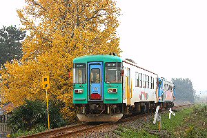 nC295-315
